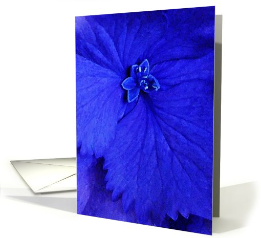 Blue hydrangea card (699809)