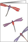 Blank - Dragonflies card