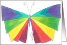 Blank-Butterfly Rainbows card