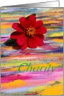 Life’s Treasures, Charity blank note card