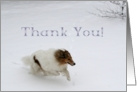 Support Thank You Collie Running in the Snow card