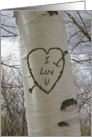 Romantic Love Heart on Birch Tree card