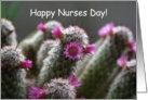 Happy Nurses Day! Humor Cactus card