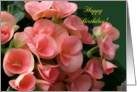 Happy Birthday, Peach Begonias, Large Print card