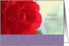 from All of Us, Happy Birthday, Red Begonia, blank card