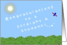 Congratulations, Academic Achievement, Straight As, Skywriter card