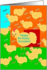 Grandma,Happy Birthday! Chick Talk, Humor card