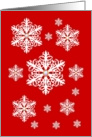 Merry Christmas! A Vision of Snowflakes card