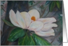 Happy Birthday! Magnolia Grandiflora card