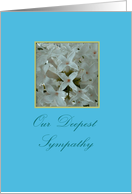 Lilacs Sympathy card