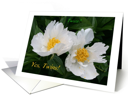 Huge News-Twins-funny card (441782)
