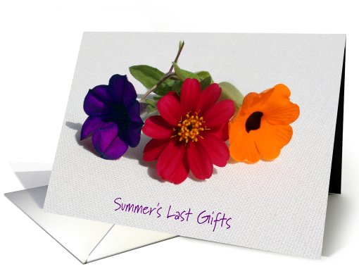 Summer's Last Gifts-Invitation card (484681)