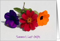 Summer’s Last Gifts-Invitation card