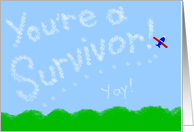 Survivor Skywriter #20 card