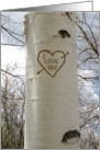 Romantic Love, I Love You Birch Tree card