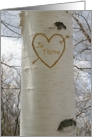 French Romantic Love, I Love You Birch Tree card