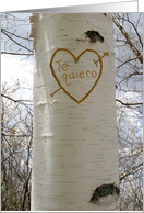 Te quiero, Spanish Romantic Love, I Love You Birch Tree card