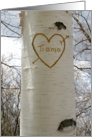 Italian Romantic Love, I Love You Birch Tree card