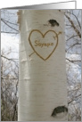 Greek Romantic, I Love You Birch Tree card