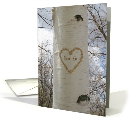 Thank You -  Birch Tree Heart card (515878)