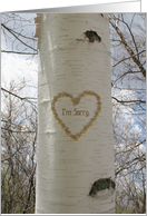 I’m Sorry - Drunken Behavior, Birch Tree Heart card