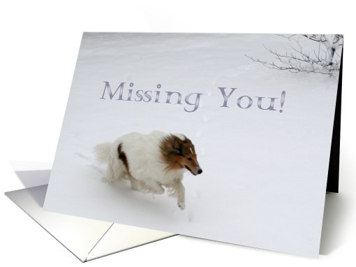 Missing You Collie Running in the Snow card (516639)