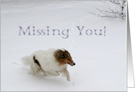 Missing You Collie Running in the Snow card