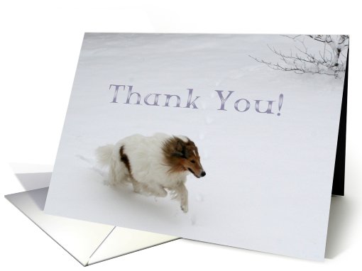 Thank You Collie Running in the Snow card (516675)