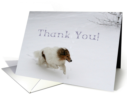 Support Thank You Collie Running in the Snow card (516676)