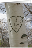 Romantic Love Heart on Birch Tree card