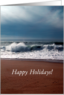 Happy Holiday Wave!