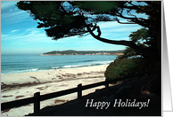 Happy Holidays from California! card