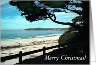 Merry Christmas from California! card