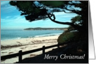 Merry Christmas from California! card