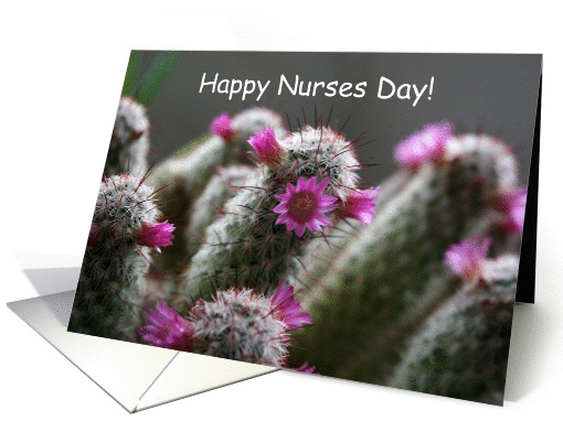 Happy Nurses Day! Flowering Cactus card (588404)