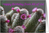 Happy Birthday from All of Us- Flowering Cactus card