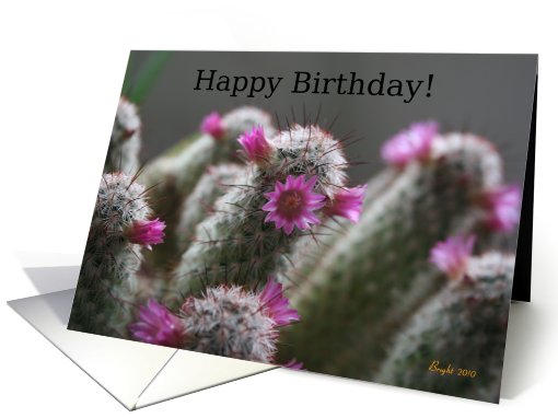 Happy Birthday General - Flowering Cactus card (588417)