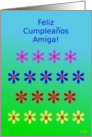 Feliz Cumpleanos Amiga!, Happy Birthday! Colorful Flower Garden card