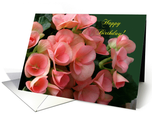 Happy Birthday, Peach Begonias, Large Print card (630739)