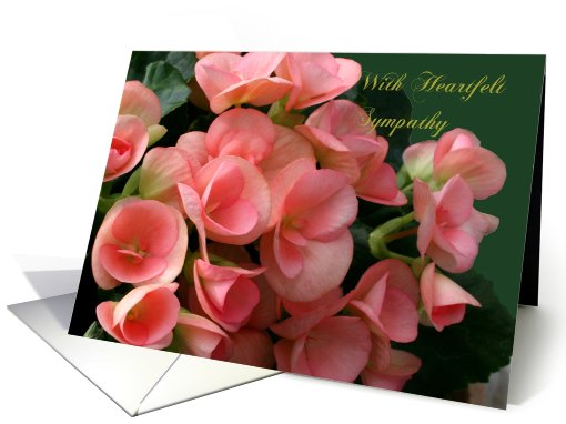 Heartfelt Sympathy, Loss of Wife, Beautiful Begonias card (630749)