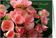 Heartfelt Sympathy, Loss of Wife, Beautiful Begonias card