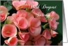 Business Sympathy ,With Deepest Sorrow, Beautiful Begonias, In Lieu of Flowers card