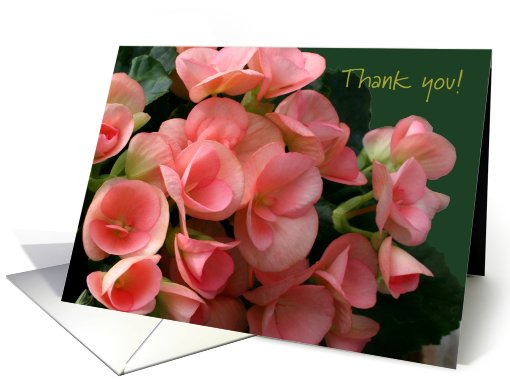 Thank You, LIfe Partner, Beautiful Peach Begonias card (630798)