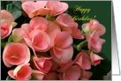 Thank You, Beautiful Begonias card