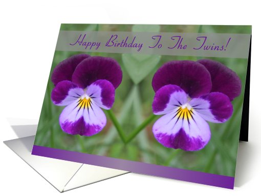Twins,Happy Birthday!, Two Identical Johnny Jump Up Flowers card