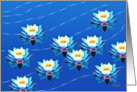 Note Card, Water Lilies Floating On A Pond card