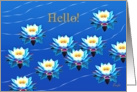 Hello!, Water Lilies Floating On A Pond card