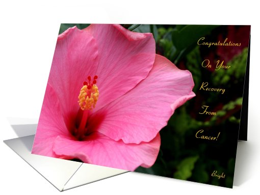Recovery from Cancer, Congratulations! Pink Hibiscus card (651217)