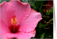 Recovery from Cancer, Congratulations! Pink Hibiscus card