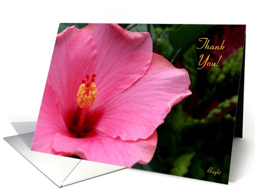 Coach, Thank You!, July Hibiscus in Full Bloom card (651466)
